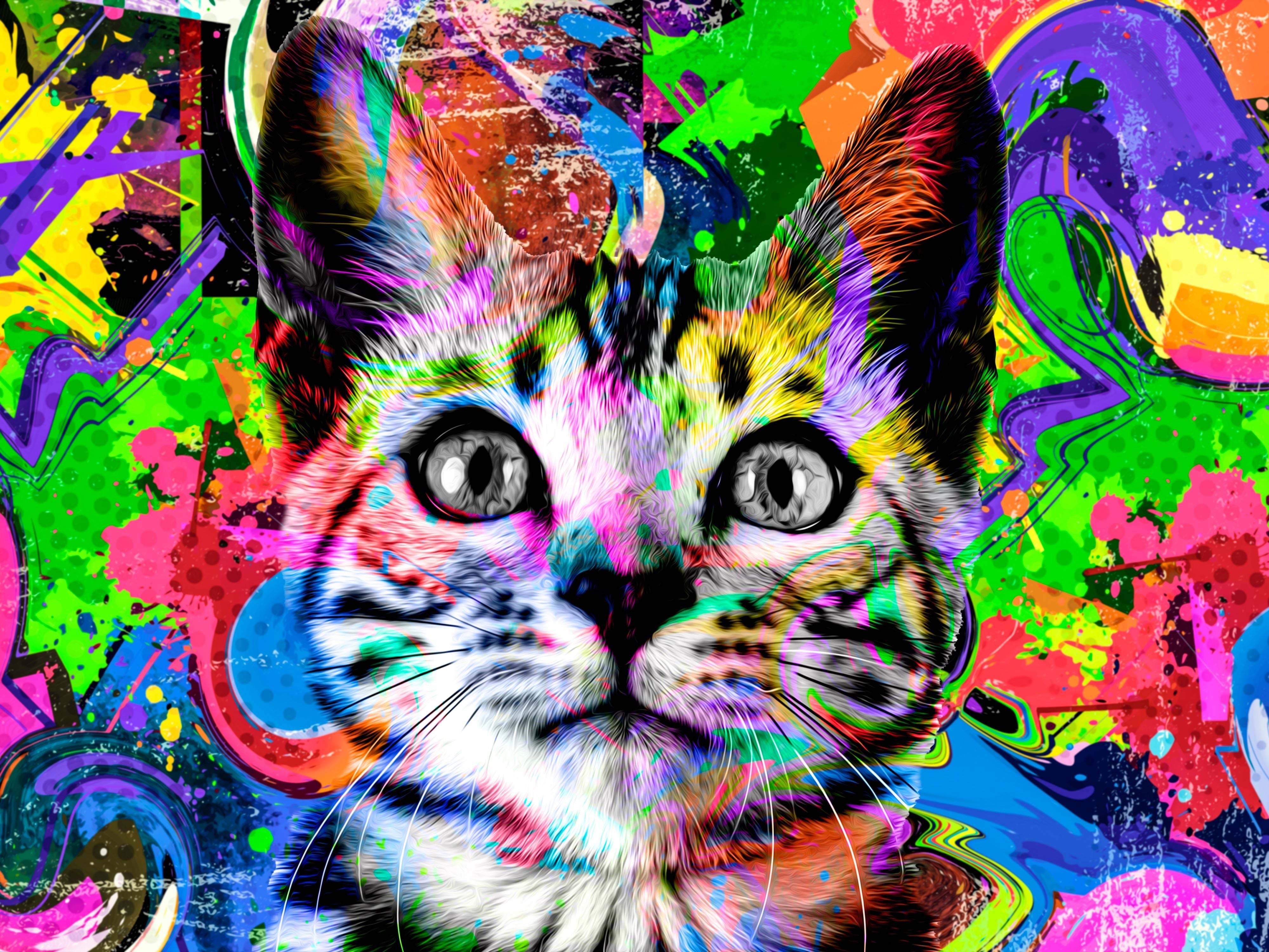 Una pintura de diamantes llamado 'Arte abstracto del gato multicolor' - Meencantalapinturadediamantes