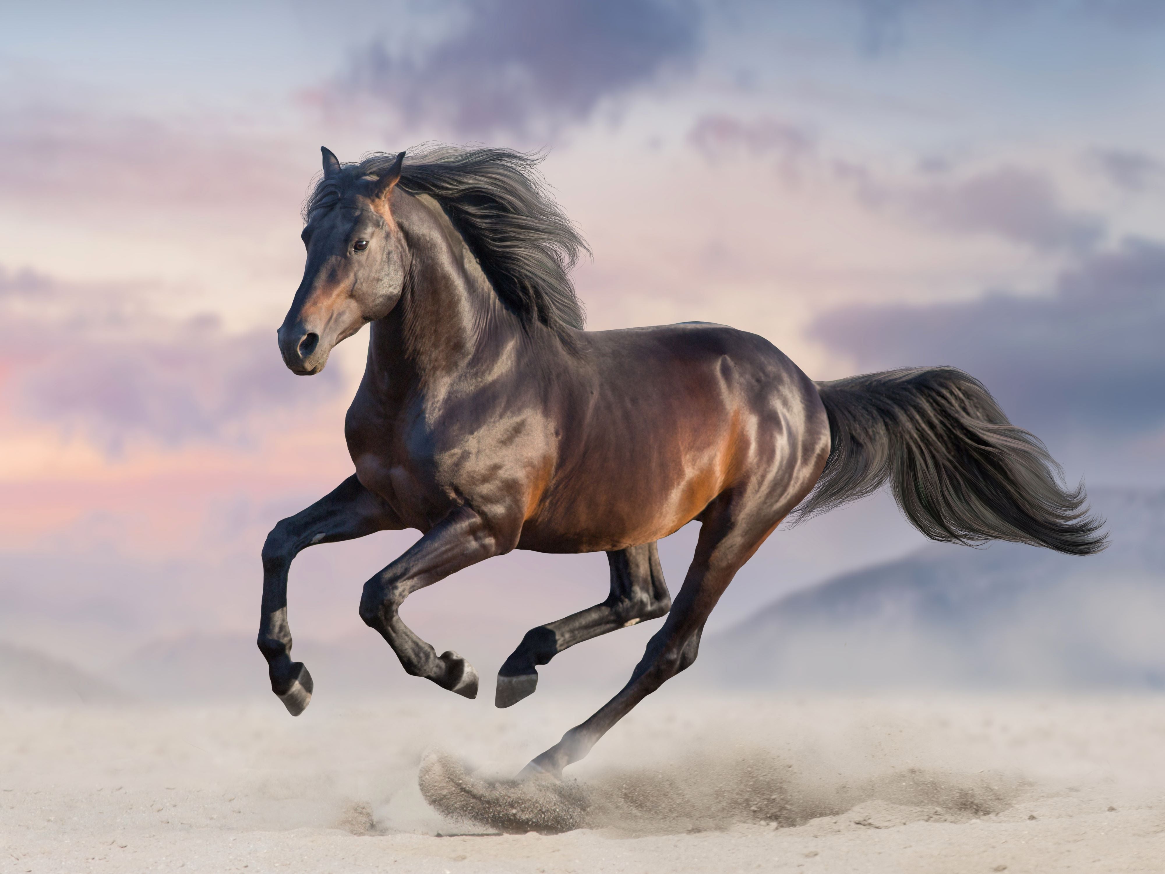 Una pintura de diamantes llamado 'Caballo en el desierto' - Meencantalapinturadediamantes