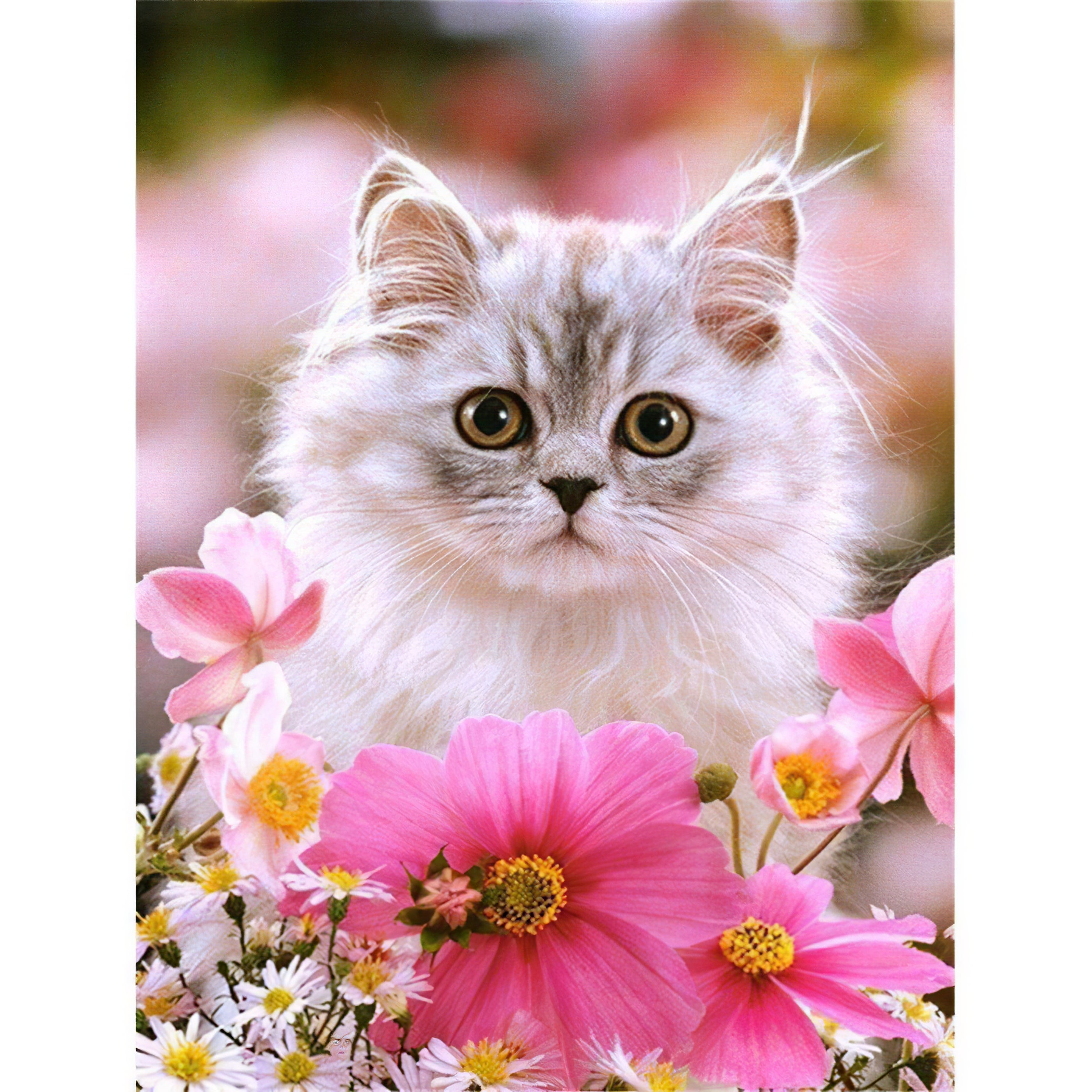 Una pintura de diamantes llamado 'Gato con flores rosas' - Meencantalapinturadediamantes