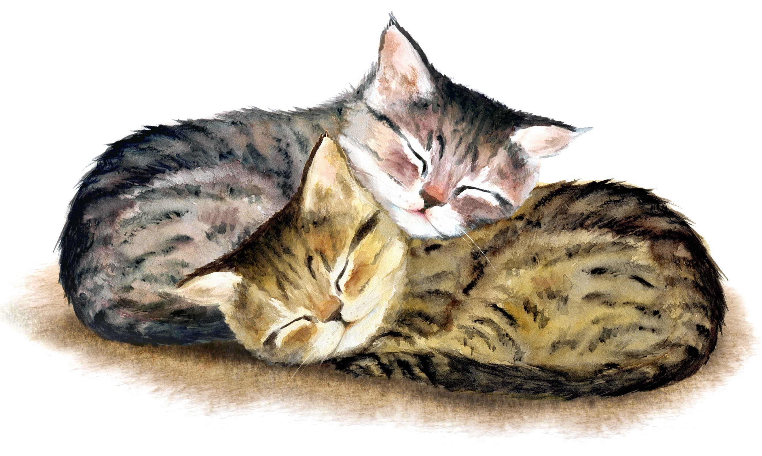 Una pintura de diamantes llamado 'Dos lindos gatitos' - Meencantalapinturadediamantes