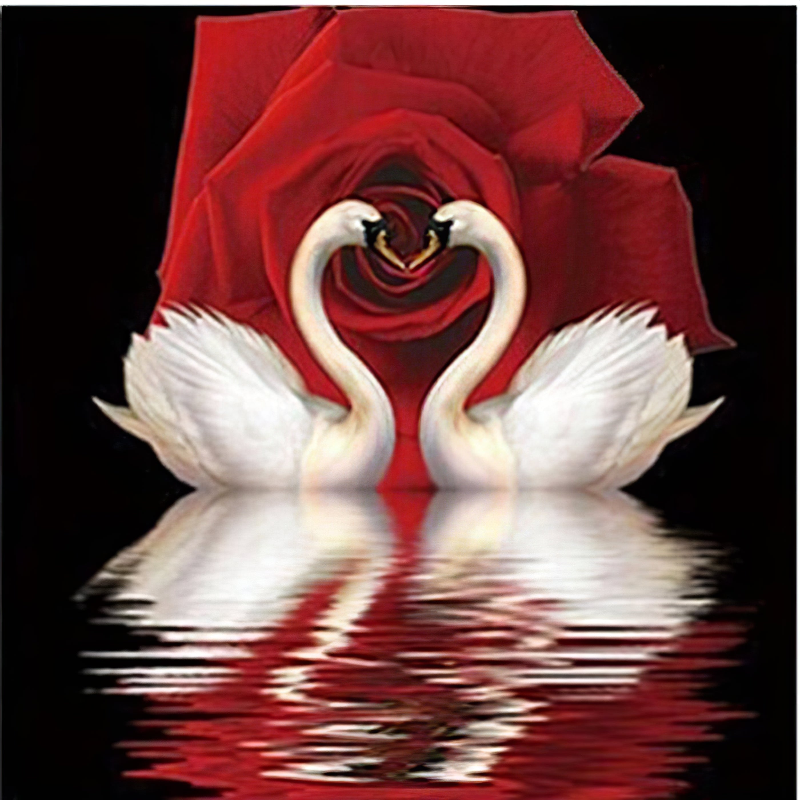 Una pintura de diamantes llamado 'Cisne rosa' - Meencantalapinturadediamantes