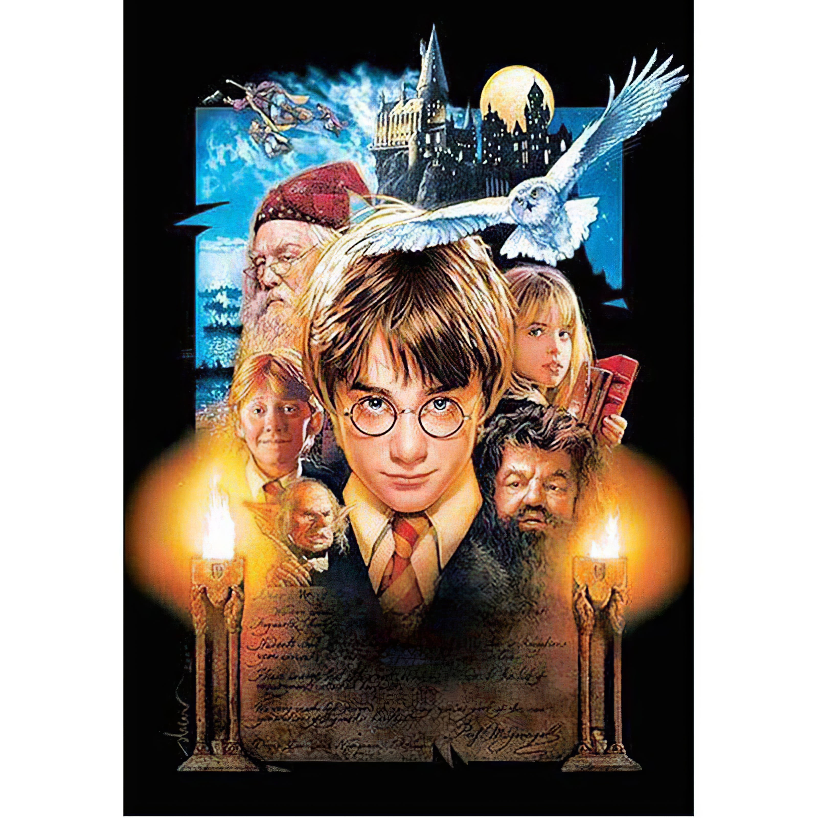 Una pintura de diamantes llamado 'Harry Potter' - Meencantalapinturadediamantes