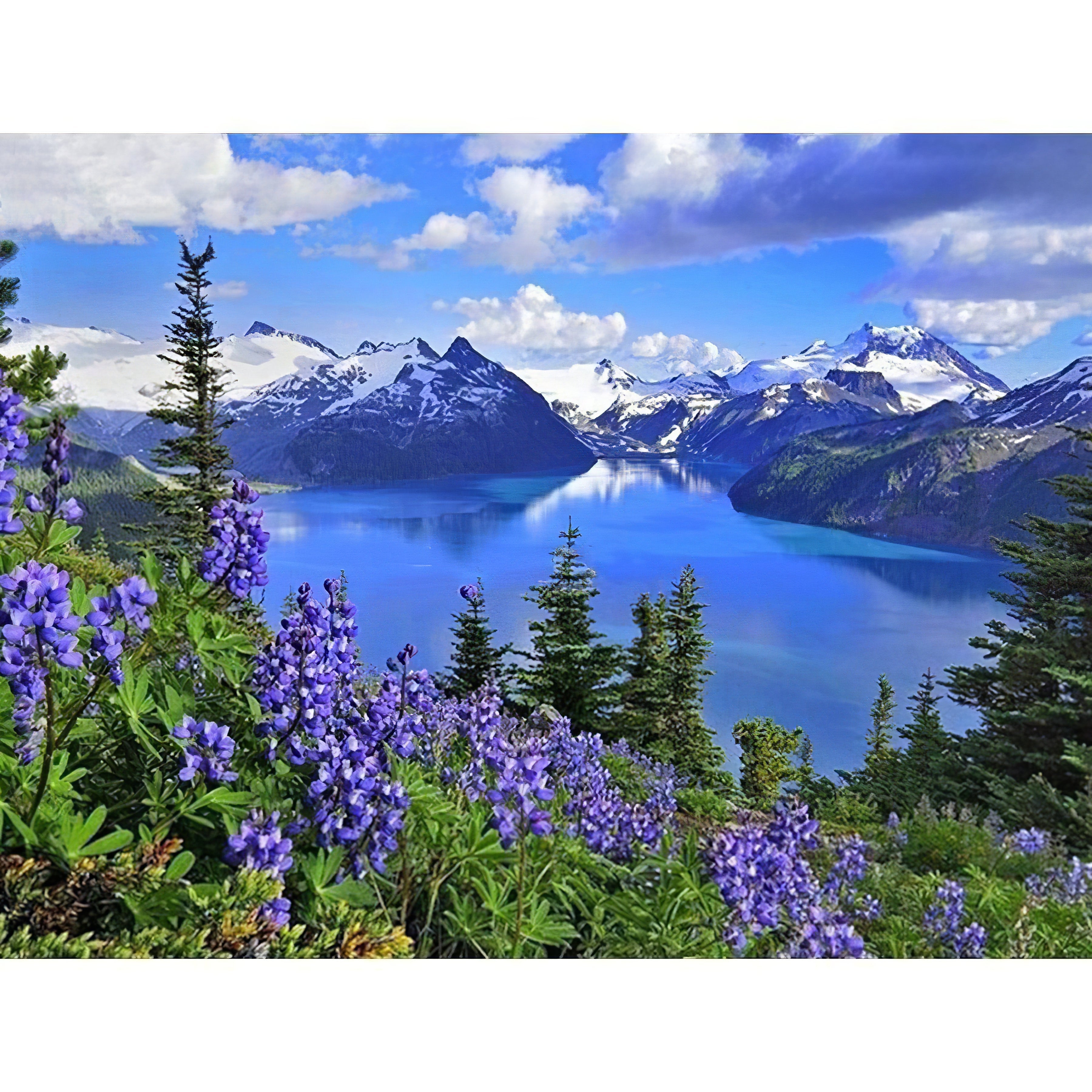 Una pintura de diamantes llamado 'Lavanda del lago' - Meencantalapinturadediamantes