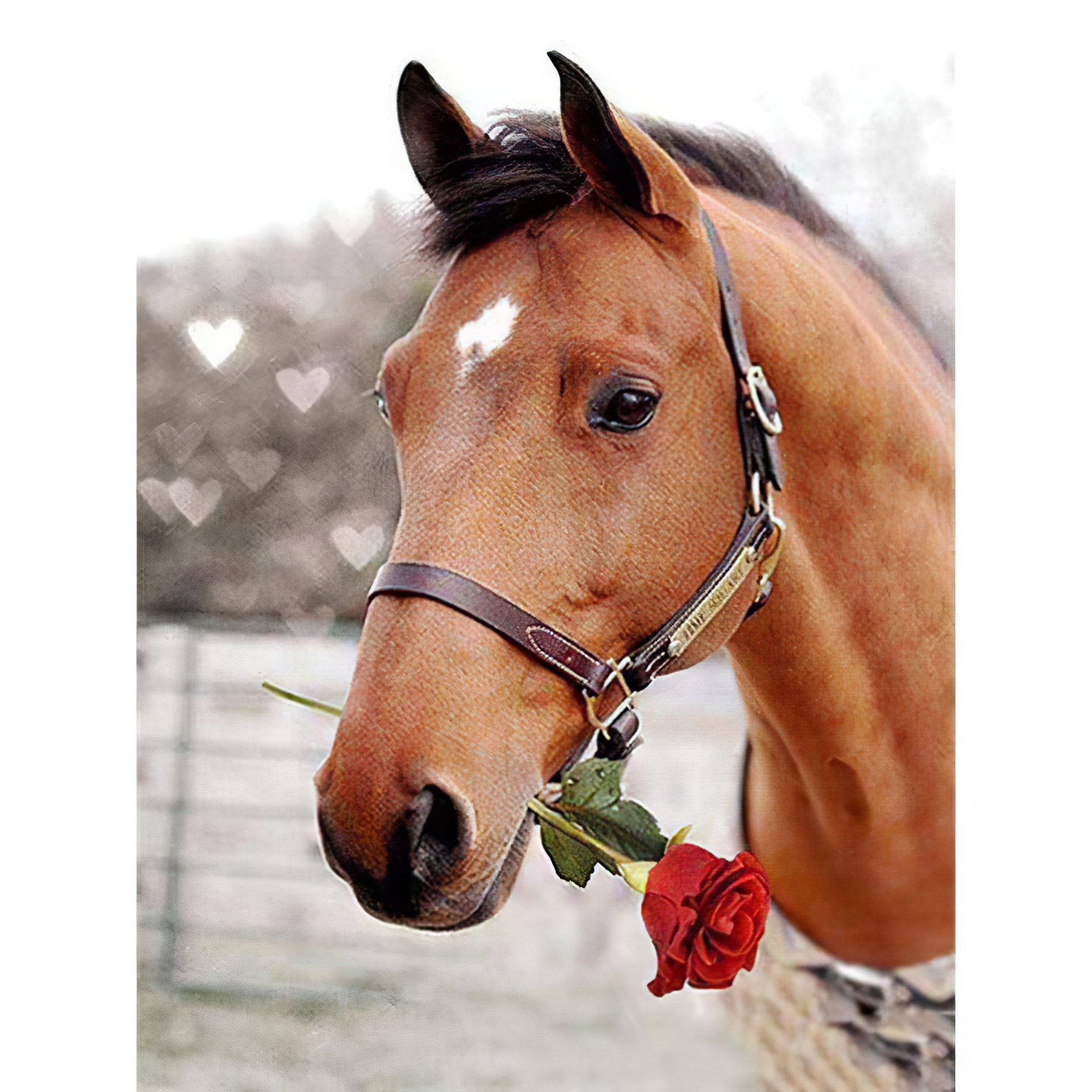 Una pintura de diamantes llamado 'Le cheval ramasse la rose avec sa bouche' - Meencantalapinturadediamantes