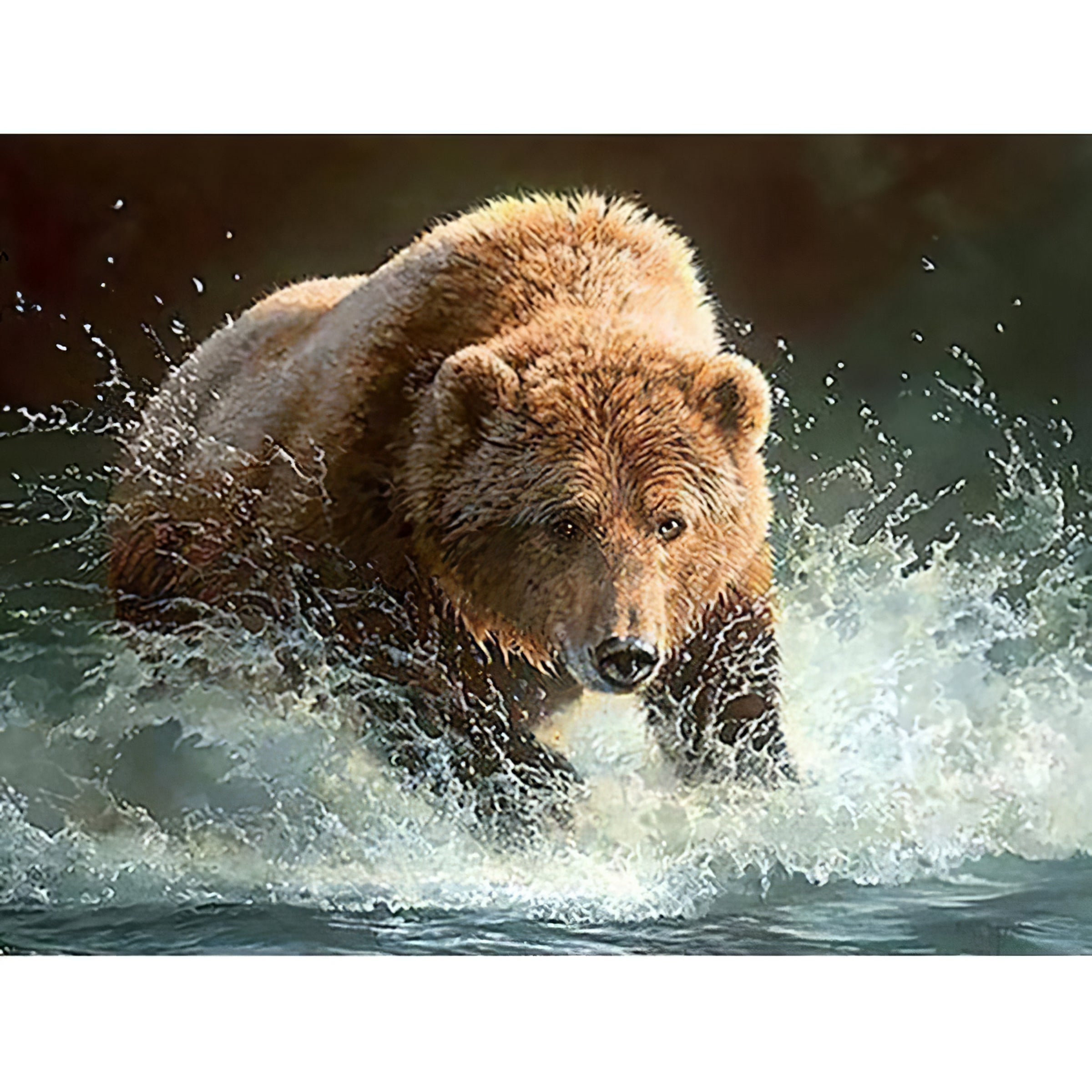 Una pintura de diamantes llamado 'Oso en el agua' - Meencantalapinturadediamantes