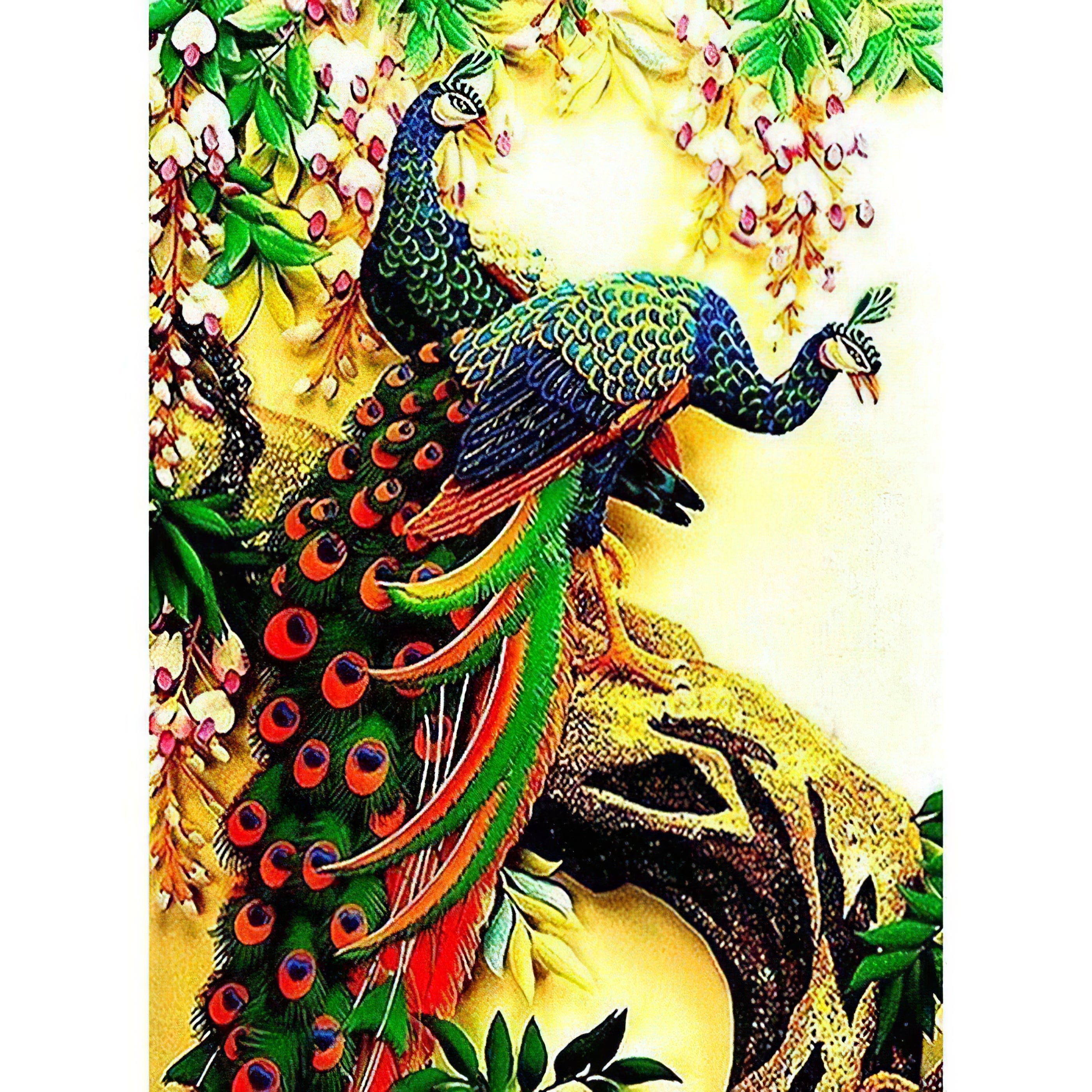 Una pintura de diamantes llamado 'Pavo real colorido' - Meencantalapinturadediamantes