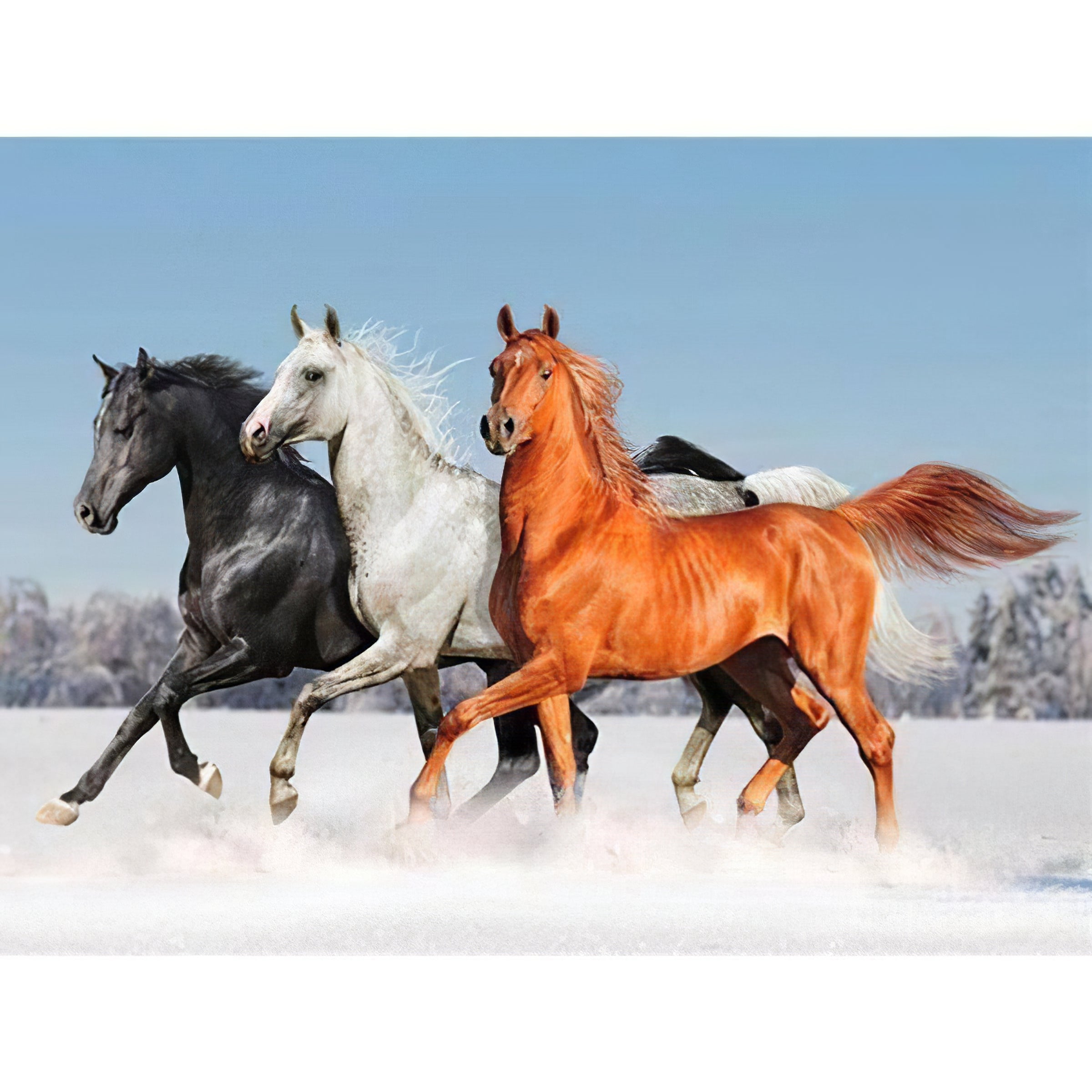 Una pintura de diamantes llamado 'Trois chevaux en hiver' - Meencantalapinturadediamantes