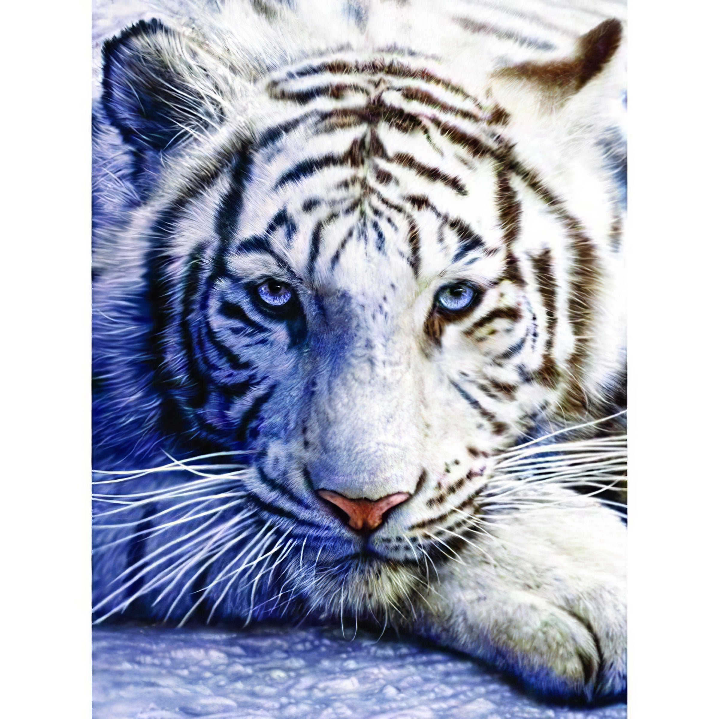 Una pintura de diamantes llamado 'Un tigre blanc' - Meencantalapinturadediamantes