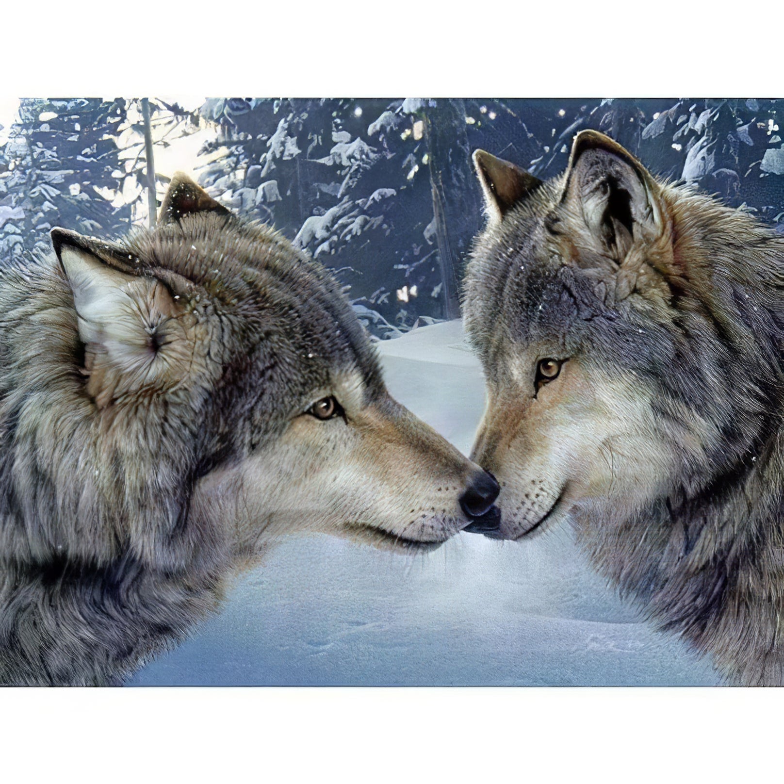 Una pintura de diamantes llamado 'Pareja de lobos amorosos' - Meencantalapinturadediamantes