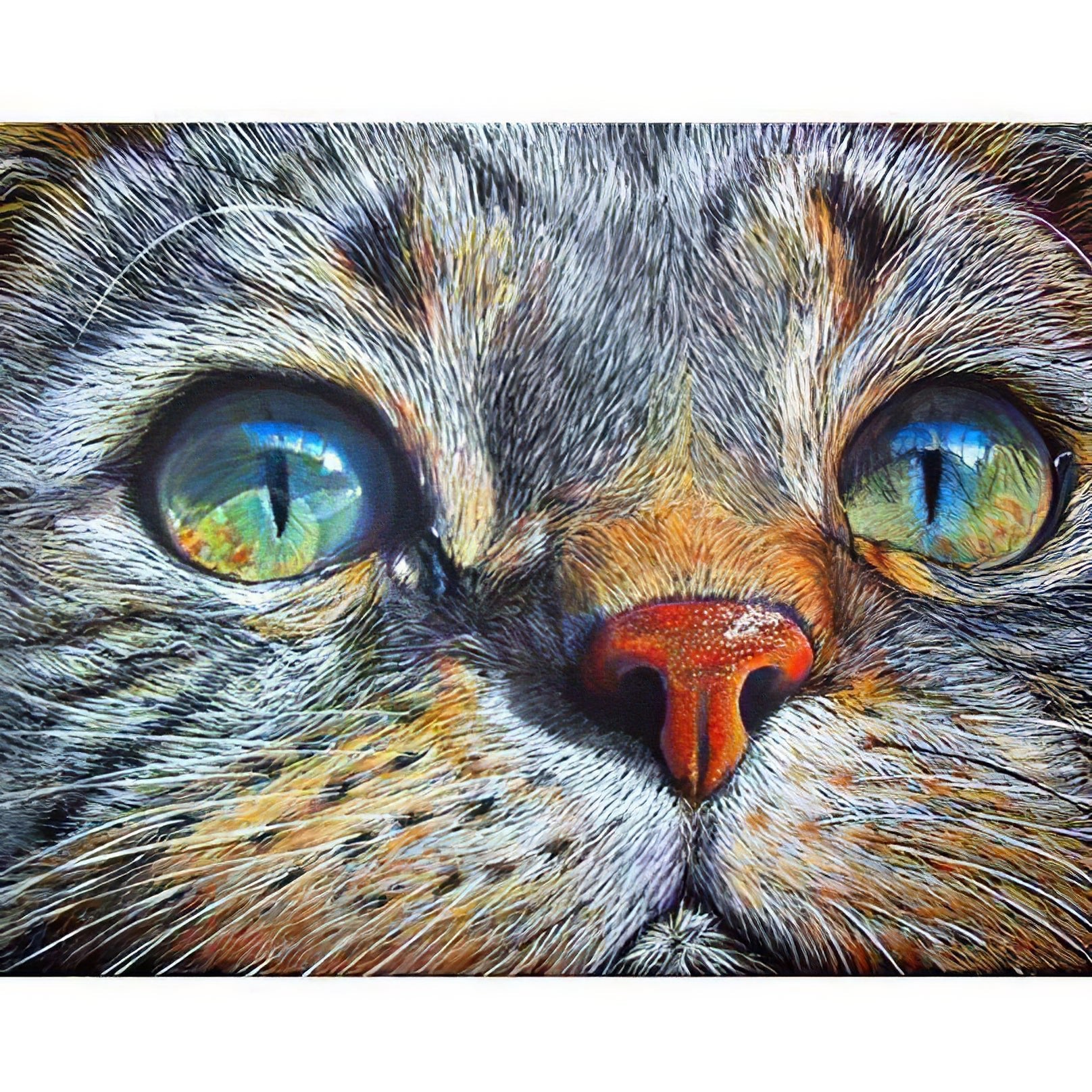 Una pintura de diamantes llamado 'Un gato con una mirada penetrante' - Meencantalapinturadediamantes