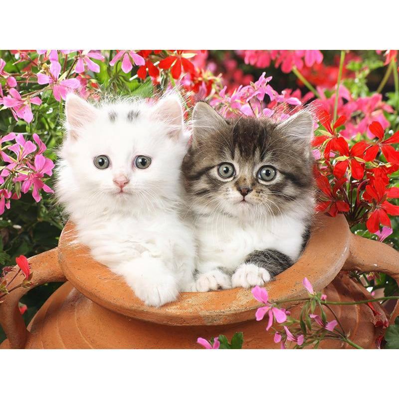 Una pintura de diamantes llamado '2 gatitos encantadores' - Meencantalapinturadediamantes